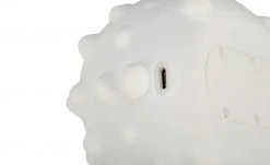 LED-Nachtlicht ´Igel ´mit Farbwechsel -Innenleuchten Verkaufsladen 10685044 6 202201111239