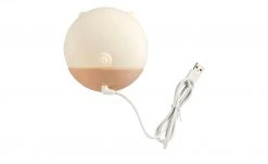 LED-Nachtlicht ´Pig´ groß -Innenleuchten Verkaufsladen 10685557 3 202201131238