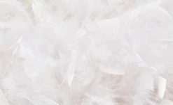 Stehleuchte, 1-flammig, Schirm aus Federn 17 Stehleuchte, 1-flammig, Schirm aus Federn -Innenleuchten Verkaufsladen 10686477 4 201811271516