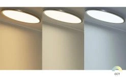 Meisterleuchten Smart Home-Deckenleuchte, oval