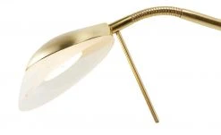 KHG LED-Deckenfluter, 2-flammig, messing-matt | Messing matt -Innenleuchten Verkaufsladen 11680490 2 201911282242