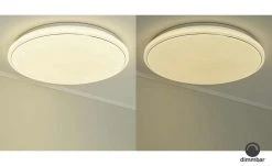 Paul Neuhaus Smart Home-Deckenleuchte, 1-flammig -Innenleuchten Verkaufsladen 11685173 2 202001302236