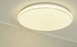 Paul Neuhaus Smart Home-Deckenleuchte, 1-flammig