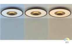 Fischer-Honsel LED-Deckenleuchte, rost/goldfarben