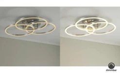 Meisterleuchten LED-Deckenleuchte, Alu-gebürstet, Kreise