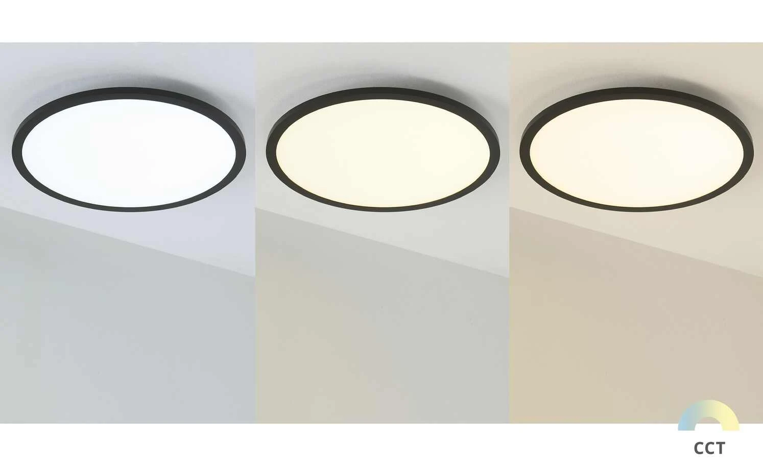 Paul Neuhaus LED-Deckenleuchte, Schwarz, rund 5 Paul Neuhaus LED-Deckenleuchte, Schwarz, rund – Bild 5