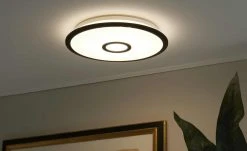 Trio LED-Deckenleuchte weiß/schwarz klein | 18|W 9 Trio LED-Deckenleuchte weiß/schwarz klein | 18|W -Innenleuchten Verkaufsladen 11686001 2 202202071235