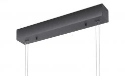 Fischer-Honsel LED-Pendelleuchte, sandschwarz 18 Fischer-Honsel LED-Pendelleuchte, sandschwarz -Innenleuchten Verkaufsladen 11686039 9 202202242232