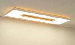 Paul Neuhaus LED-Deckenleuchte, 1-flammig, Weiß mit Backlight 23 Paul Neuhaus LED-Deckenleuchte, 1-flammig, Weiß mit Backlight -Innenleuchten Verkaufsladen 11686107 11 202101252239