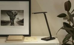 Paul Neuhaus LED-Schreibtischleuchte, Schwarz mit Ladefunktion -Innenleuchten Verkaufsladen 11686113 1 202101212236