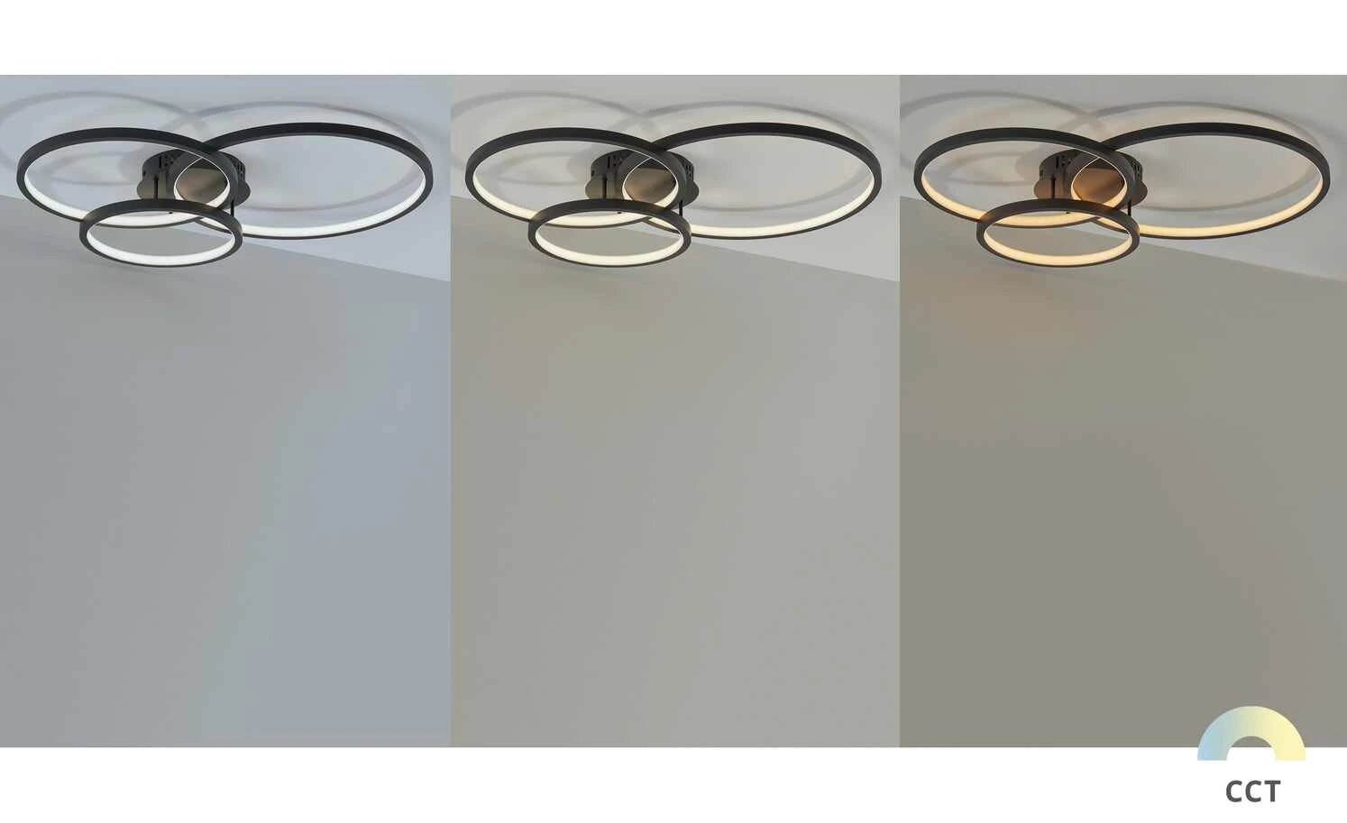 Trio Deckenleuchte, anthrazit, Kreise, WiZ-Connected | Schwarz 3 Trio Deckenleuchte, anthrazit, Kreise, WiZ-Connected | Schwarz – Bild 3