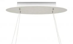 B-Leuchten LED-Pendelleuchte, Alu matt, oval | alufarben -Innenleuchten Verkaufsladen 11686217 6 202202242232