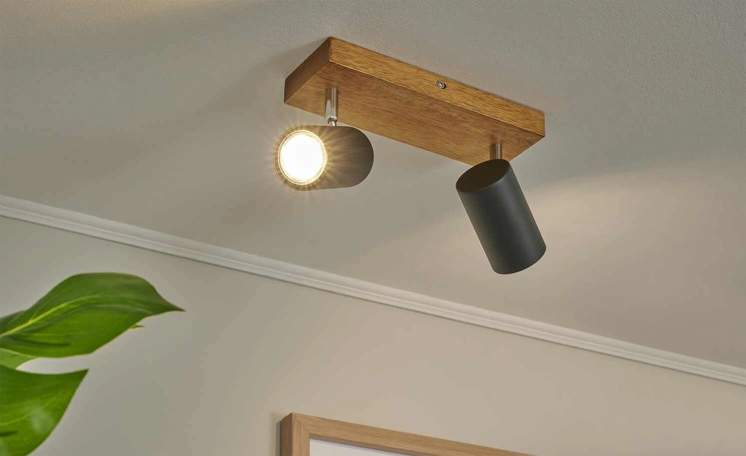 Trio Deckenspot, 2-flammig, schwarz / Eiche 1 Trio Deckenspot, 2-flammig, schwarz / Eiche