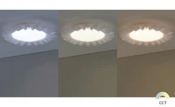 Trio LED-Deckenleuchte, weiß mit Fernbedienung `Sunflower` -Innenleuchten Verkaufsladen 11687112 8 202202041236