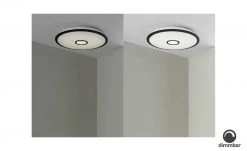 Trio LED-Deckenleuchte weiß/schwarz groß | 50|W