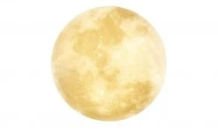 Trio LED-Deckenleuchte in Mondoptik `klein´ | 22|W 20 Trio LED-Deckenleuchte in Mondoptik `klein´ | 22|W -Innenleuchten Verkaufsladen 11687201 3 202201251234