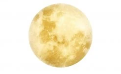 Trio LED-Deckenleuchte in Mondoptik `groß` | 40|W -Innenleuchten Verkaufsladen 11687202 1 202201251234