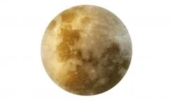 Trio LED-Deckenleuchte in Mondoptik `groß` | 40|W -Innenleuchten Verkaufsladen 11687202 4 202201251234