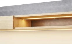 Zubehör Lech -Innenleuchten Verkaufsladen 12203835 5 201811271523