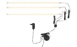 LED-Beleuchtung Viareggio | LED-Beleuchtung, 3er-Set Viareggio (558 mm)