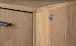 Woodford LED Beleuchtung Oakland -Innenleuchten Verkaufsladen 12236401 2 202008252245