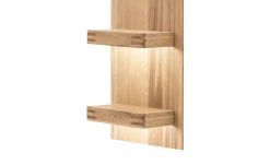 Woodford LED Beleuchtung Monta -Innenleuchten Verkaufsladen 13231271 4 202101272238