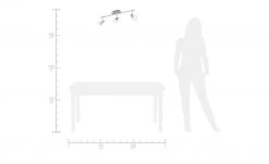 KHG LED-Deckenstrahler mit 3 schwenkbaren Spots -Innenleuchten Verkaufsladen 662859 3 202106102233