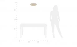 Paul Neuhaus LED-Deckenleuchte, Sternenhimmel 7 Paul Neuhaus LED-Deckenleuchte, Sternenhimmel -Innenleuchten Verkaufsladen 663631 4 202106072308